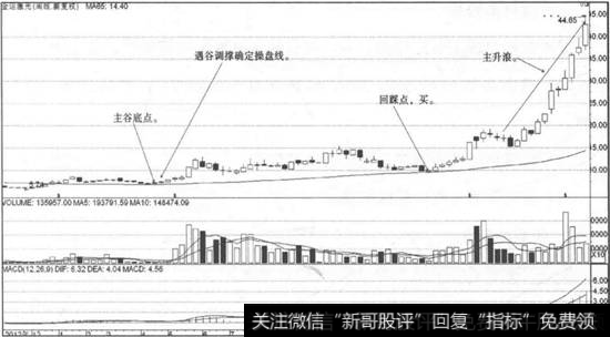 金运激光走势图