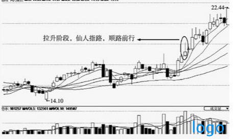 中国人寿恋爱保险