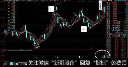 股票低位放量下跌