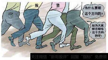经济学家是如何研究从众行为的发展？