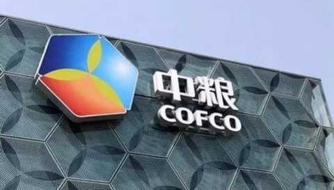 中粮集团的股票代码.jpg
