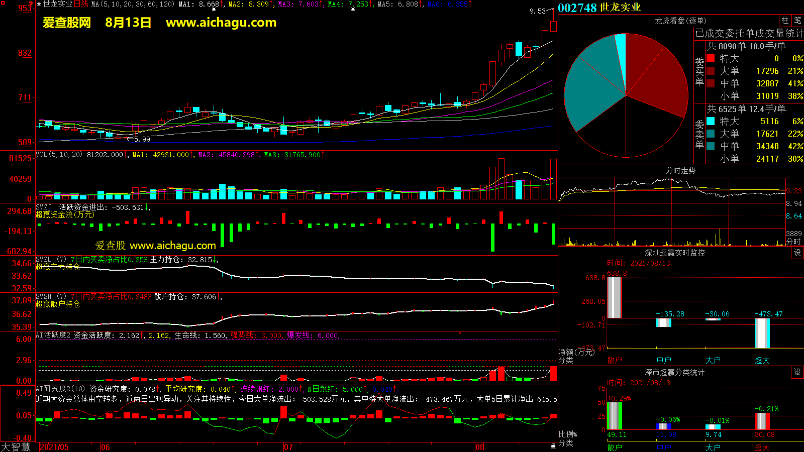 世龙实业(002748)大智慧超赢数据