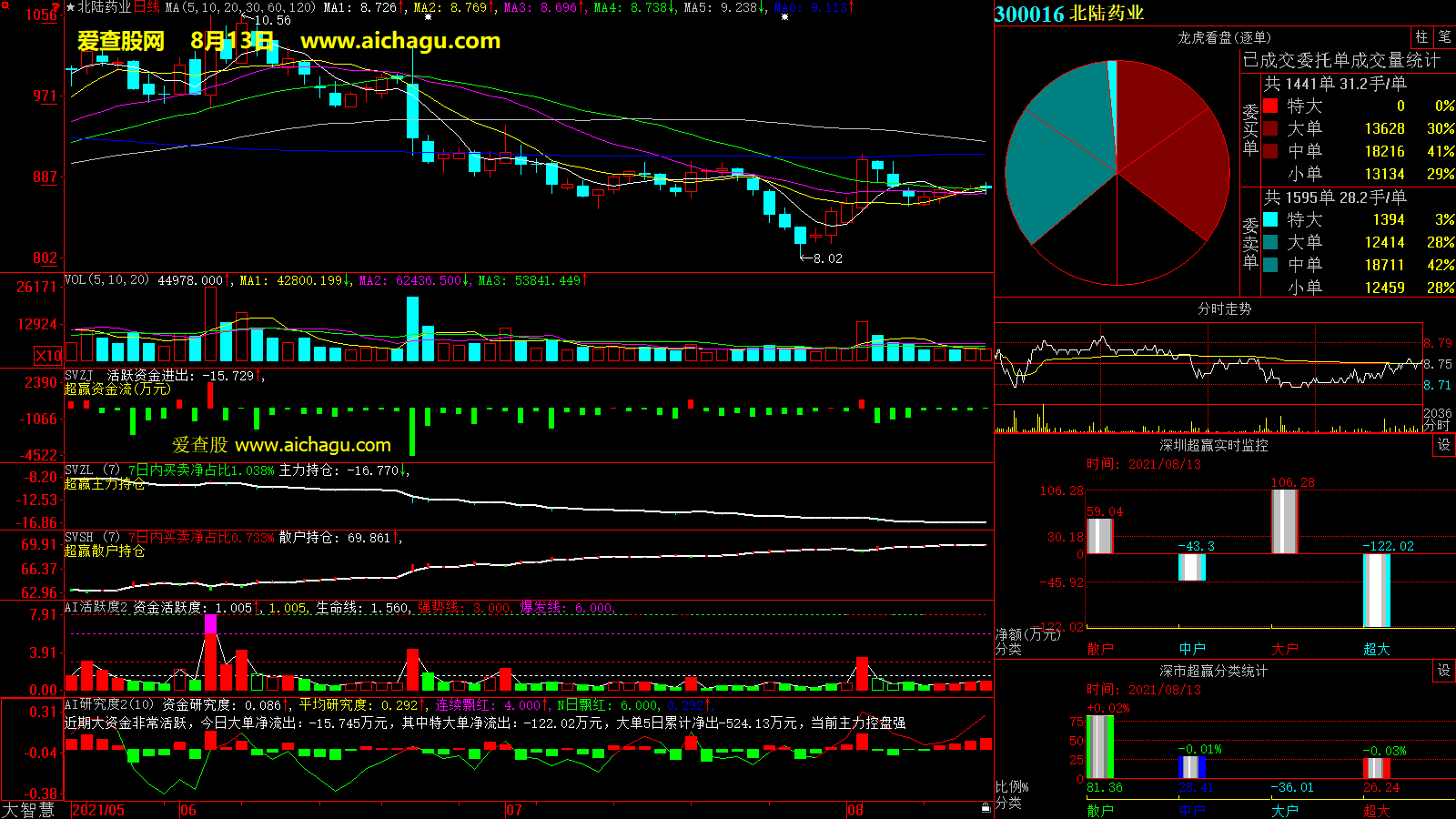 北陆药业(300016)大智慧超赢数据