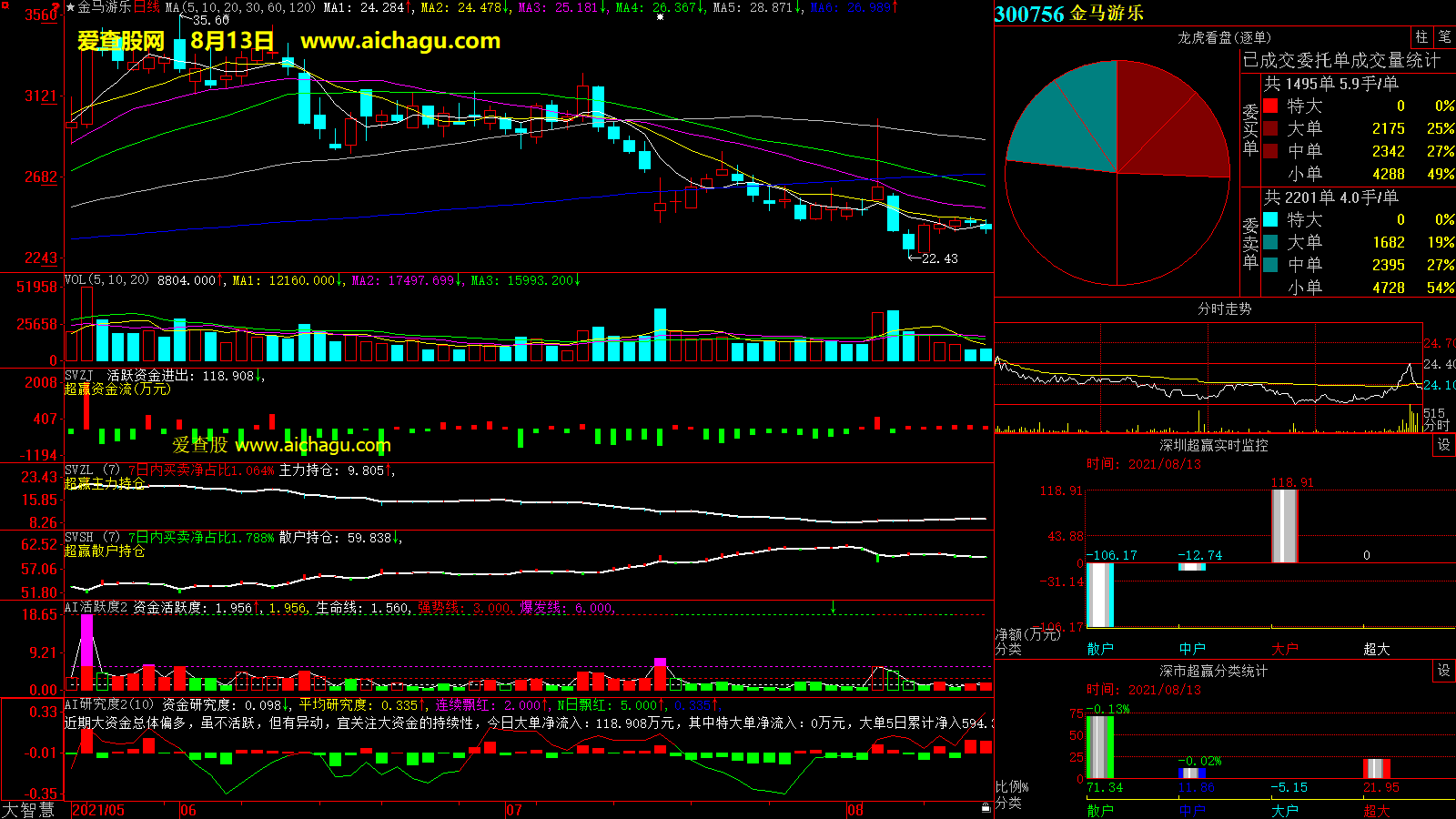 金马游乐(300756)大智慧超赢数据