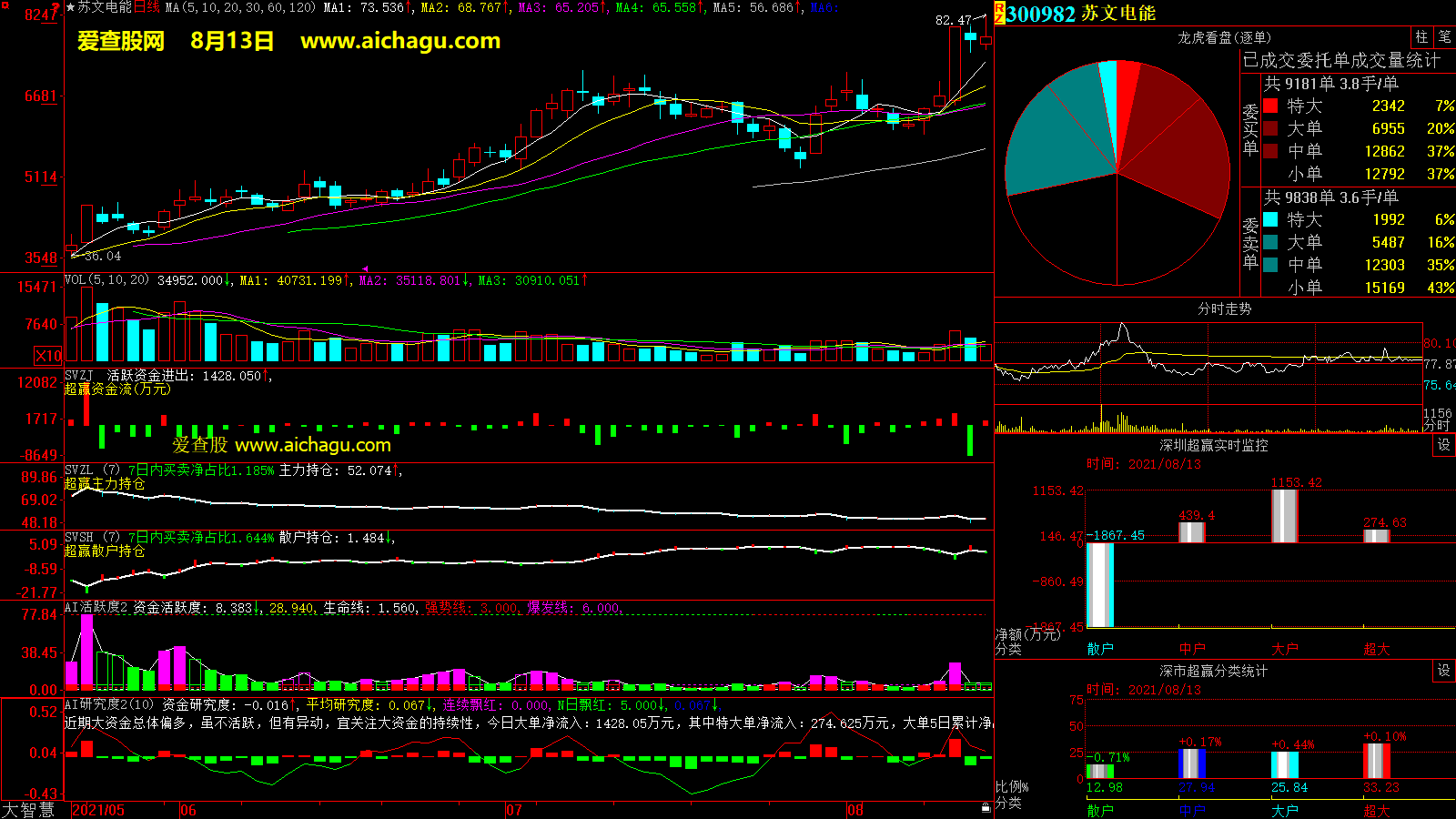 苏文电能(300982)大智慧超赢数据