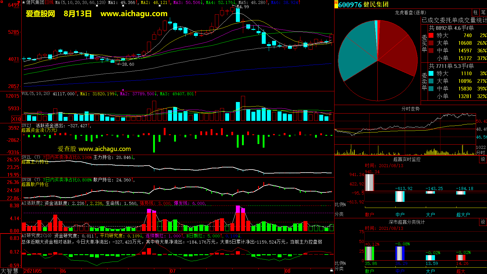 健民集团(600976)大智慧超赢数据